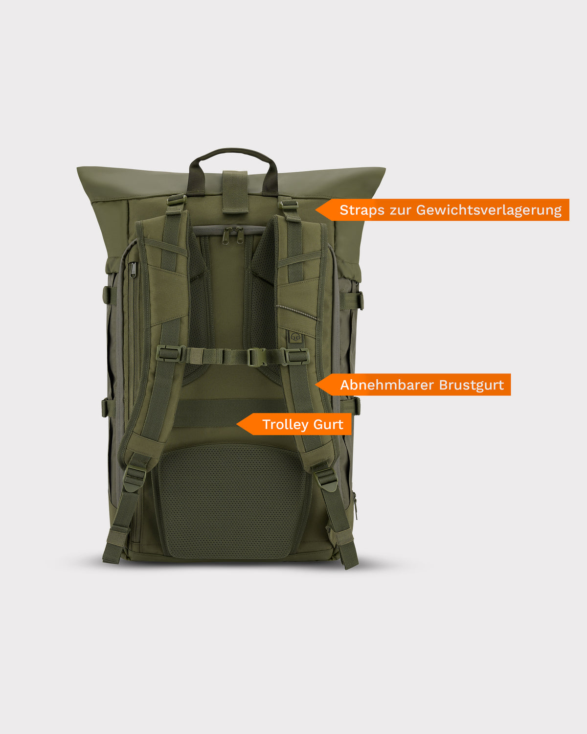 Rückansicht des olivgrünen Reiserucksacks 'Allen XL Travel' mit gepolsterten verstellbaren Schultergurten, abnehmbarem Brustgurt und Trolley-Gurt