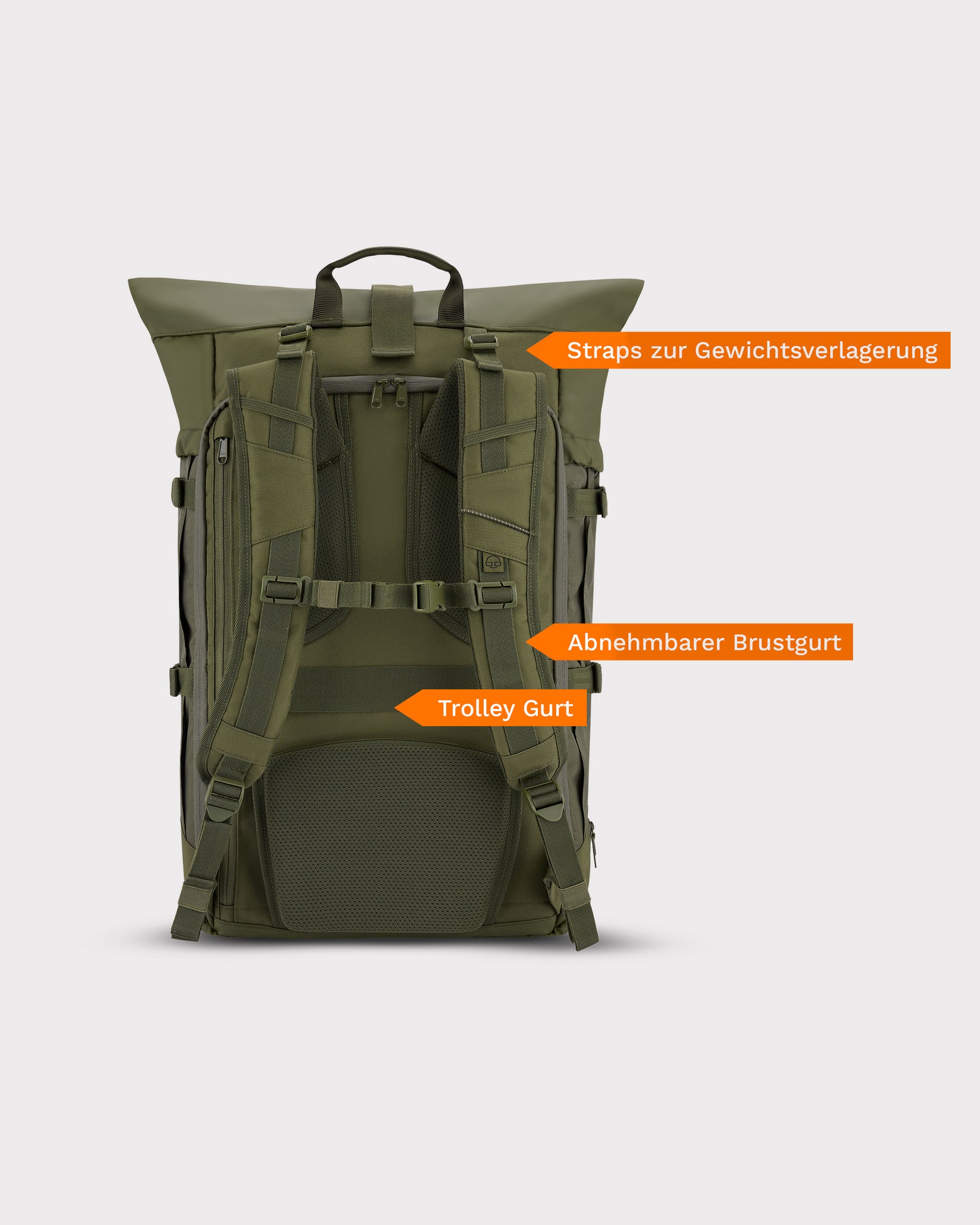 Rückansicht des olivgrünen Reiserucksacks 'Allen XL Travel' mit gepolsterten verstellbaren Schultergurten, abnehmbarem Brustgurt und Trolley-Gurt