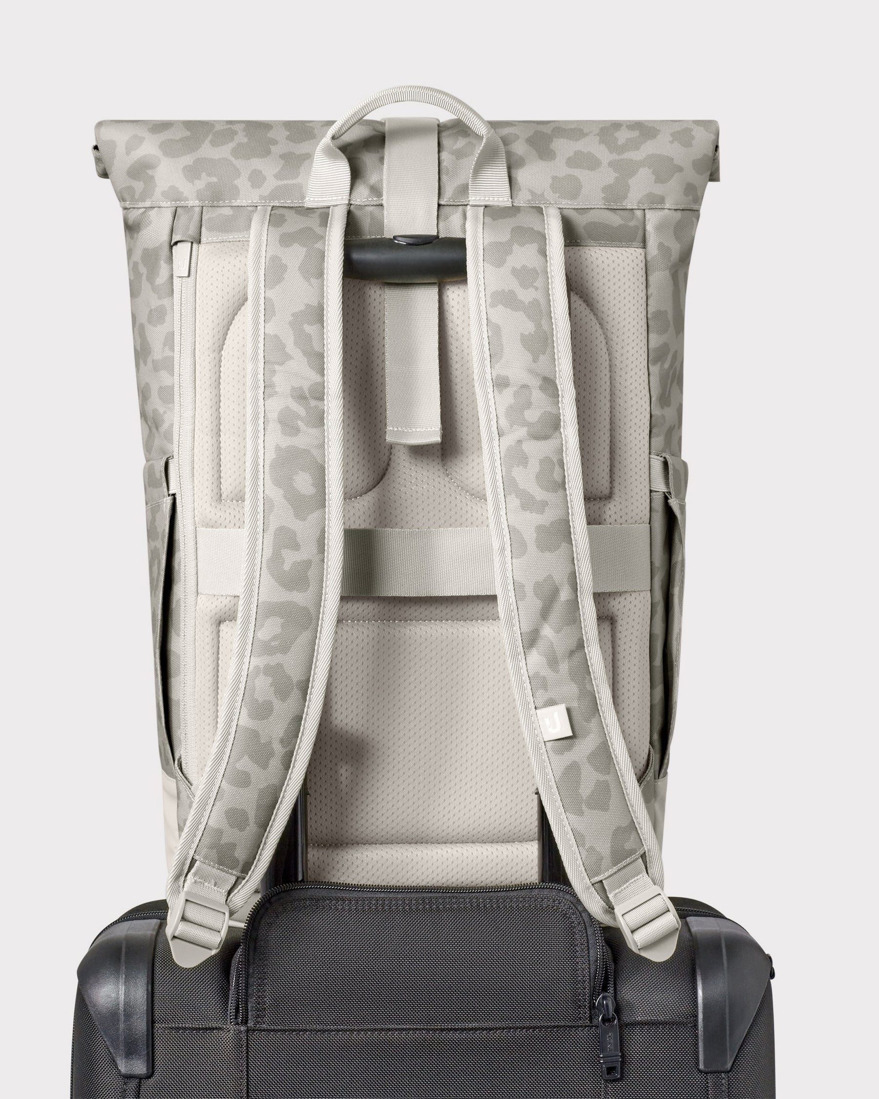 Rolltop Rugzak "Allen Medium"