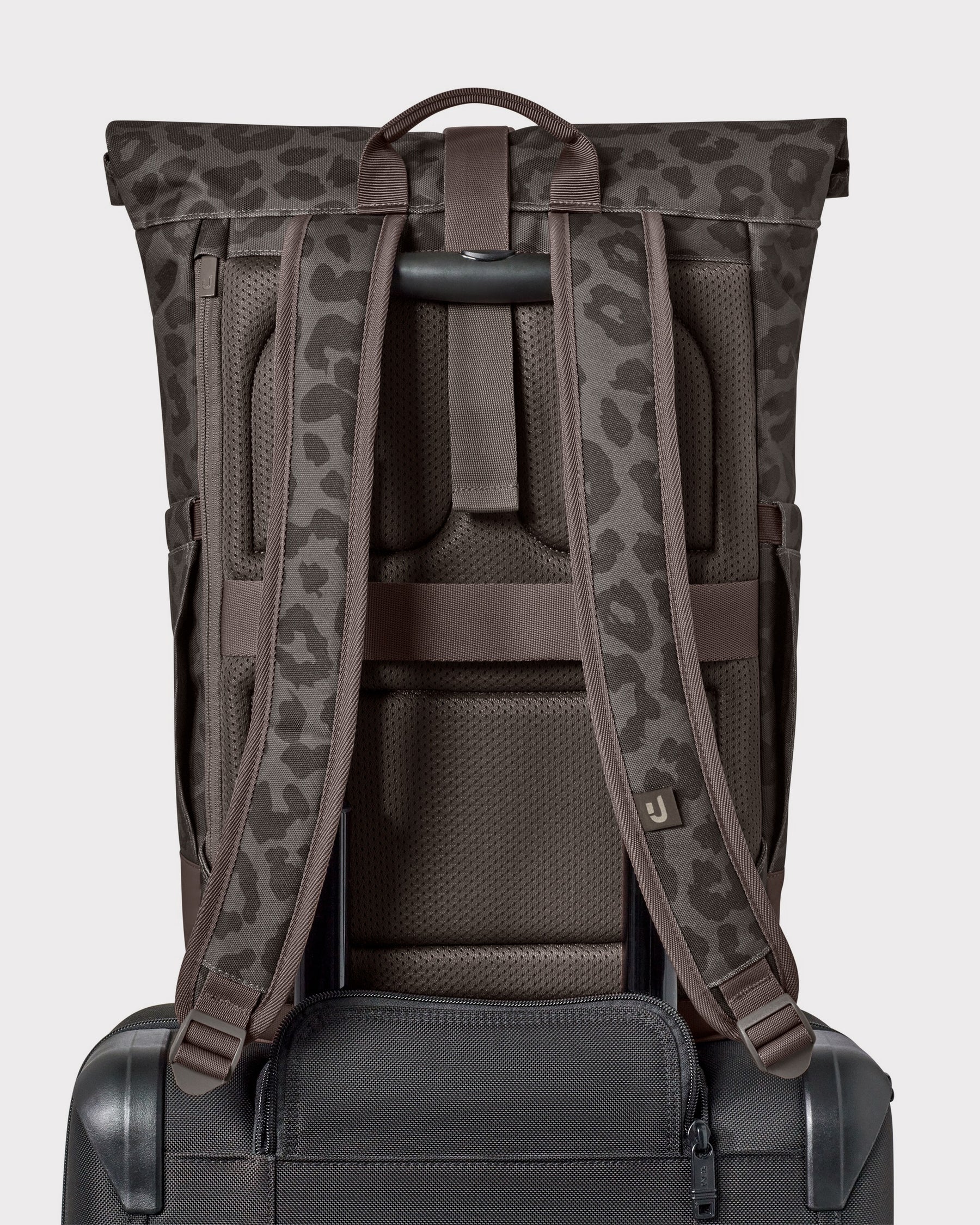 Rolltop Rugzak "Allen Medium"