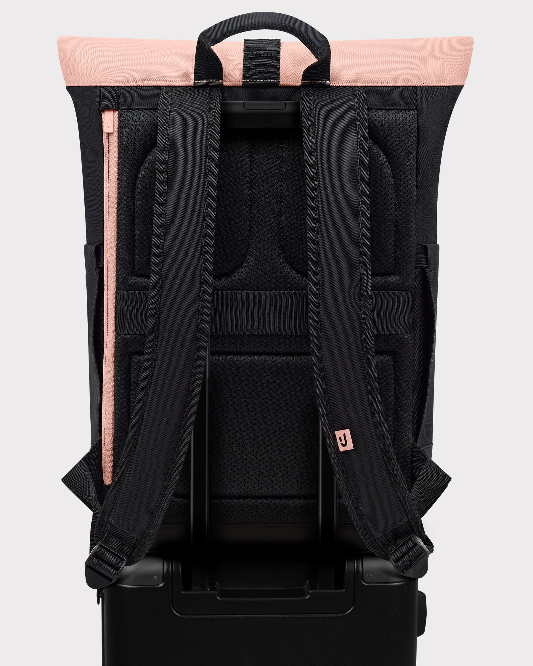 Rolltop Rugzak "Allen Medium"
