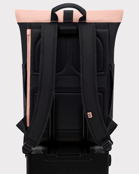 Rolltop Rugzak "Allen Medium"