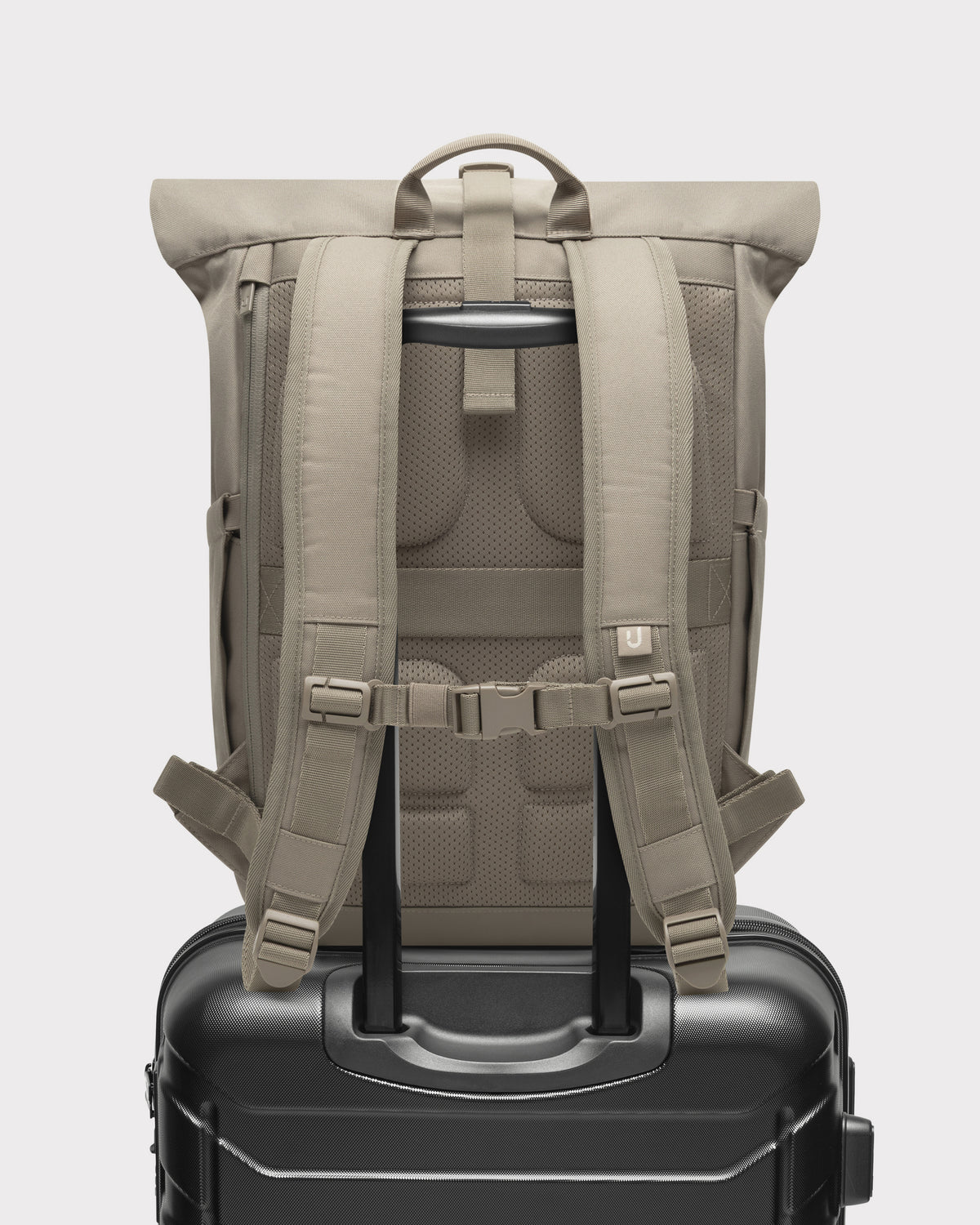 Rolltop Rucksack "Allen Large 2.0"