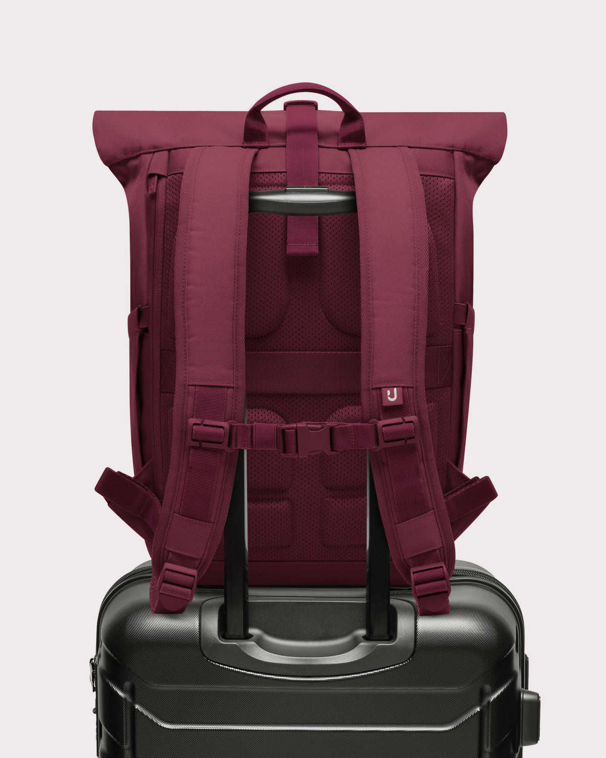 Rolltop Rucksack "Allen Large 2.0"