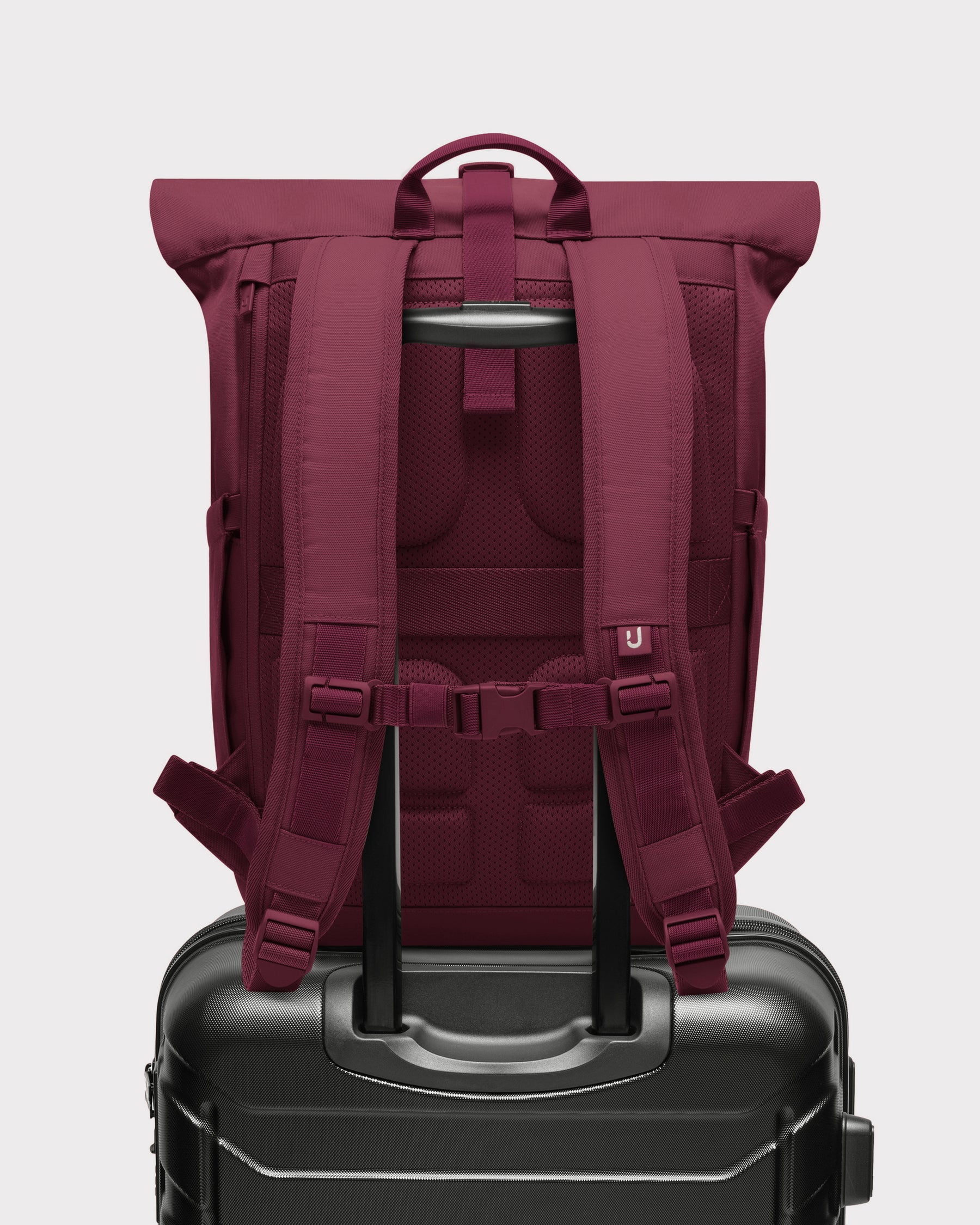 Rolltop Rucksack "Allen Large 2.0"