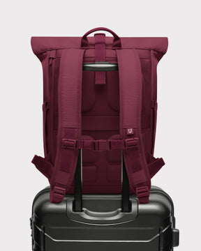 Rolltop Rucksack "Allen Large 2.0"