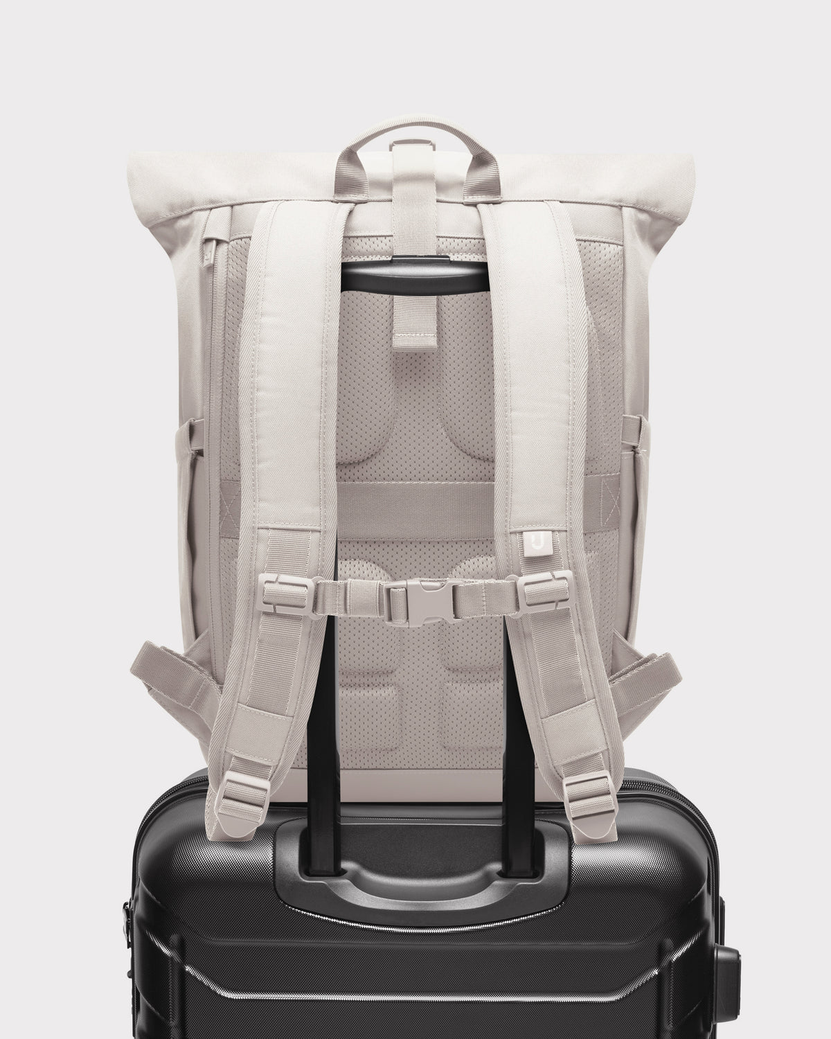Rolltop Rucksack "Allen Large 2.0"