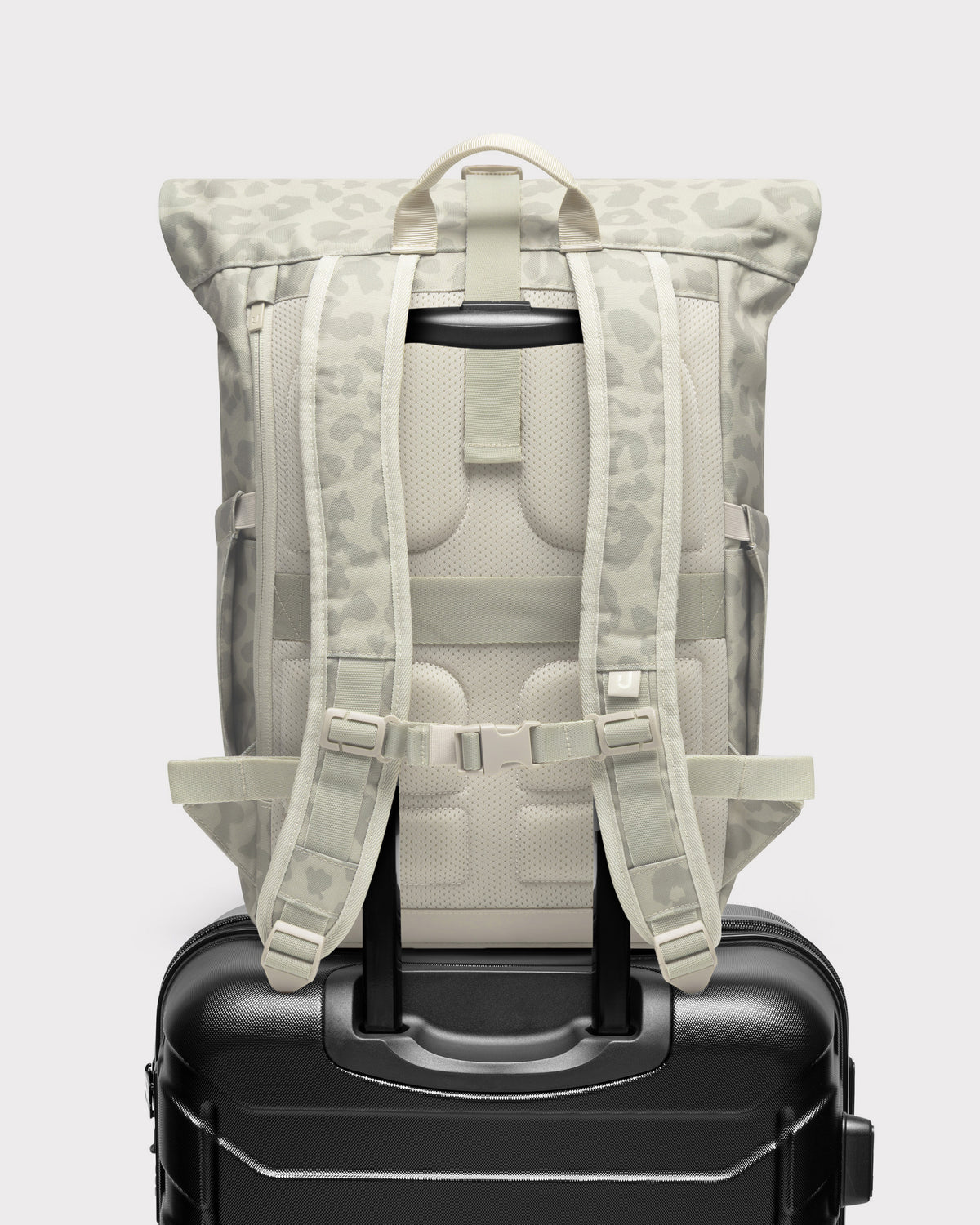 Rolltop Rucksack "Allen Medium 2.0"