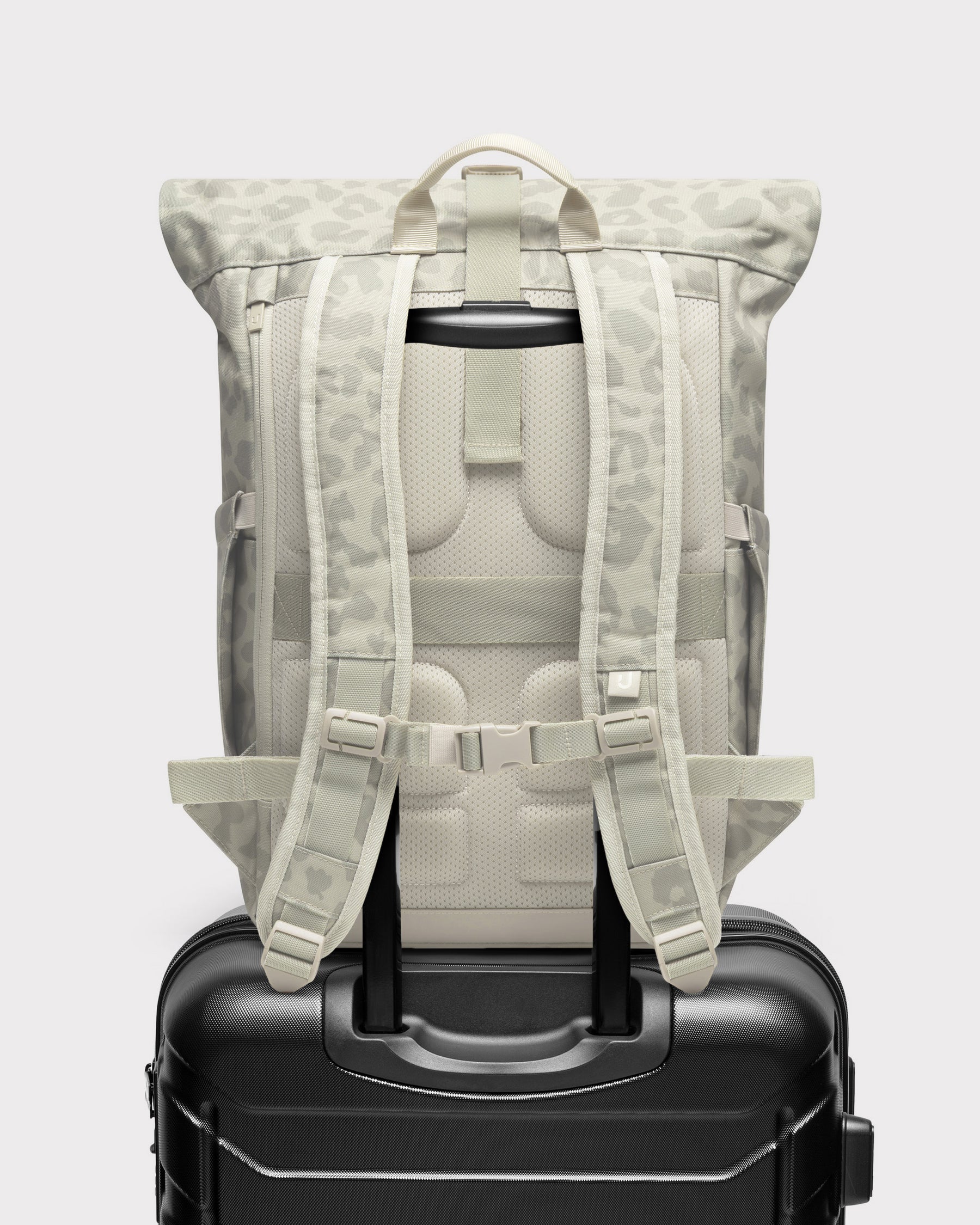 Rolltop Rucksack "Allen Medium 2.0"