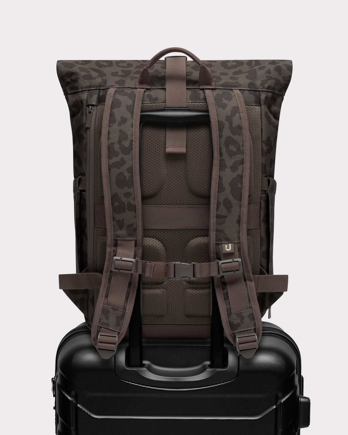 Rolltop Rucksack "Allen Medium 2.0"