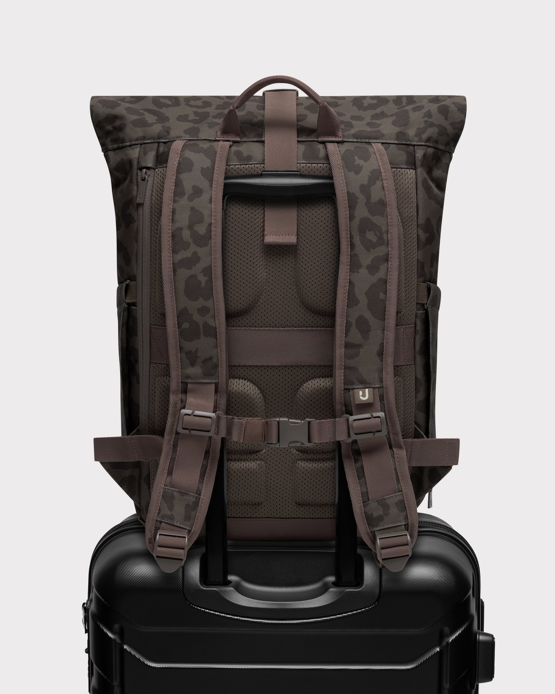 Rolltop Rucksack "Allen Medium 2.0"