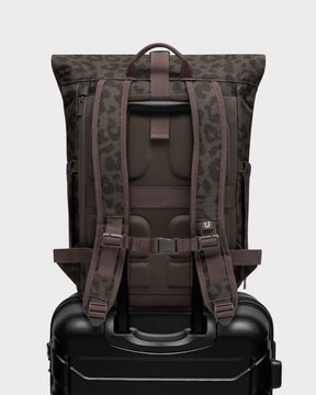 Rolltop Rucksack "Allen Medium 2.0"