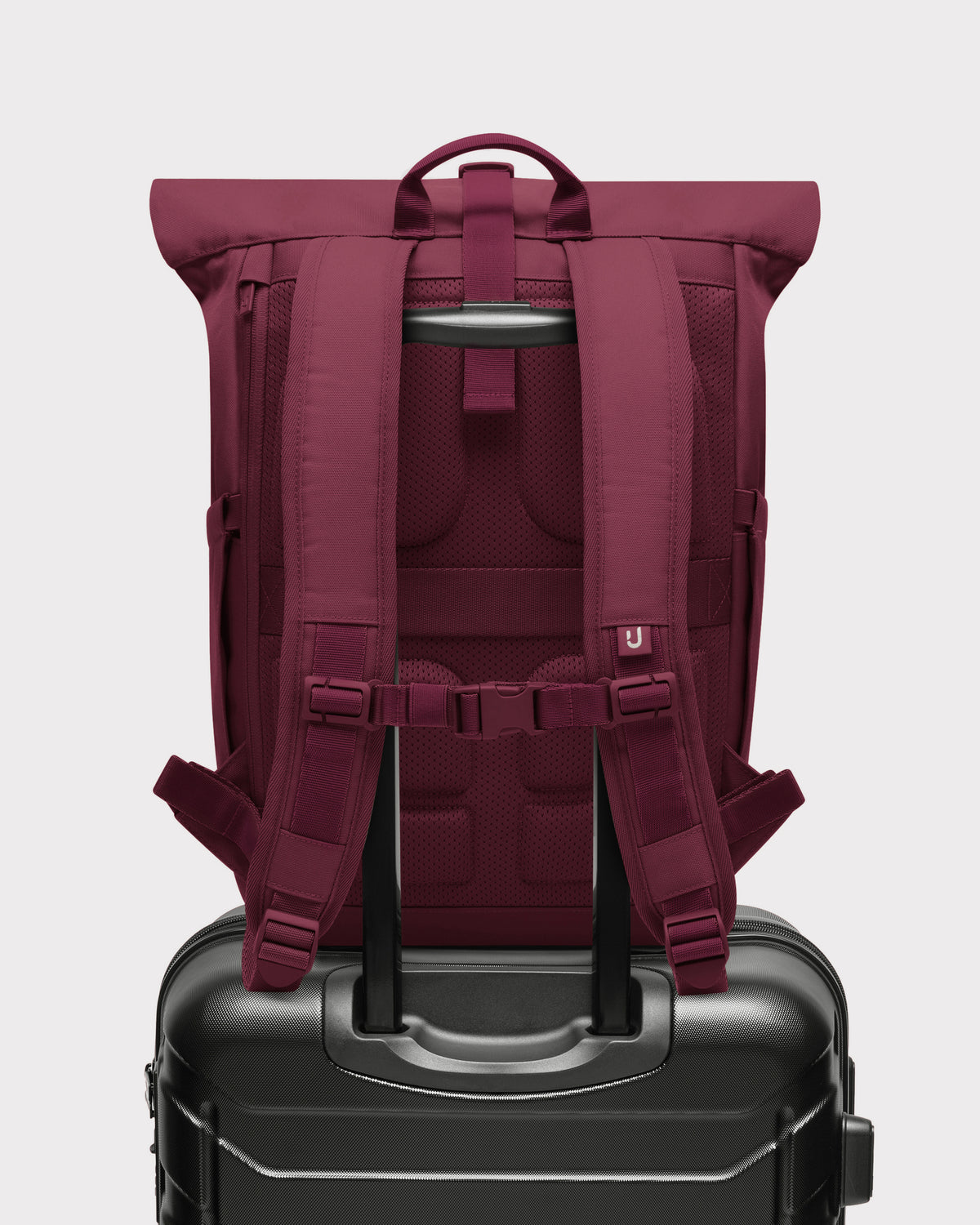Rolltop Rucksack "Allen Medium 2.0"