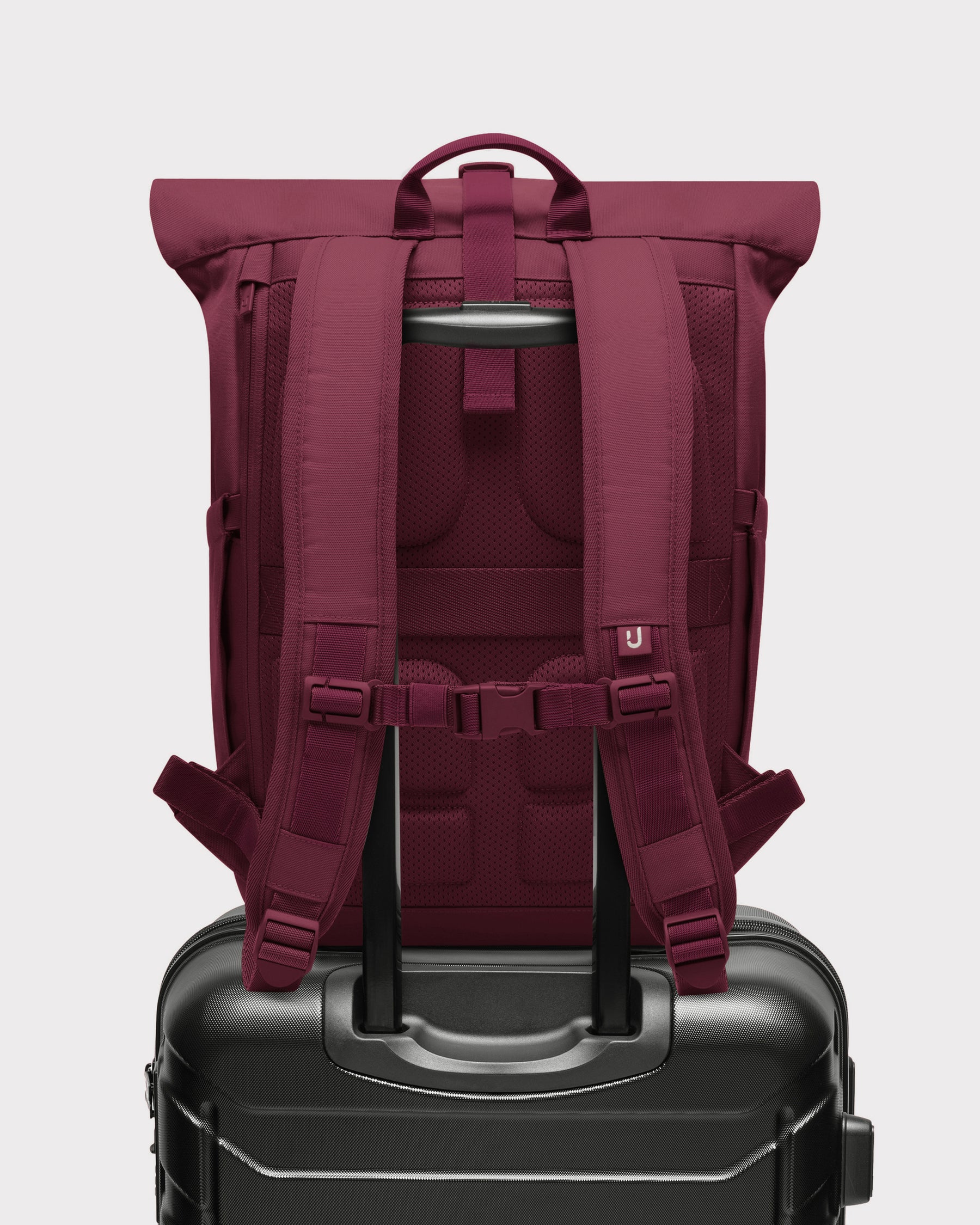 Rolltop Rucksack "Allen Medium 2.0"