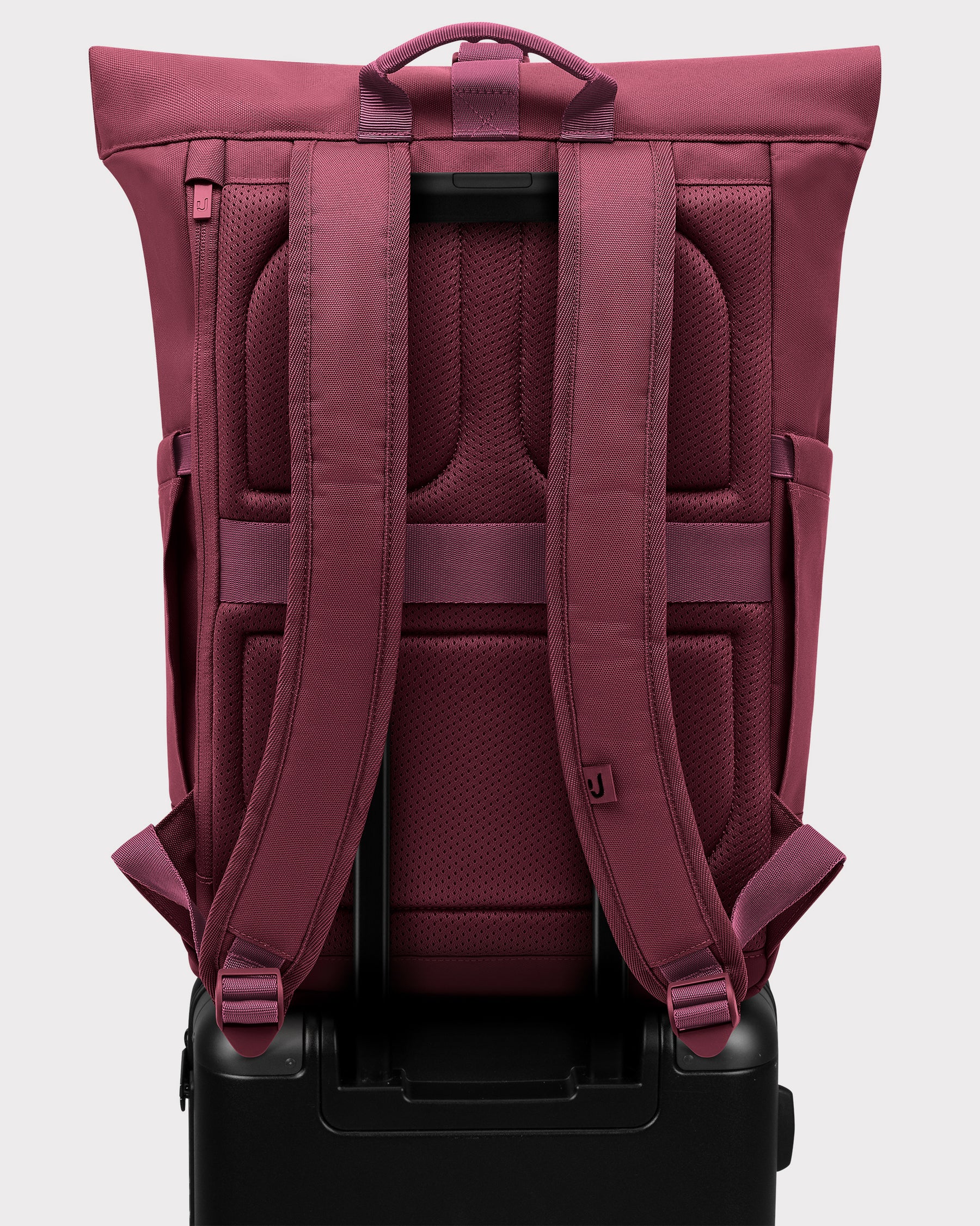 Rolltop Rugzak "Allen Medium"