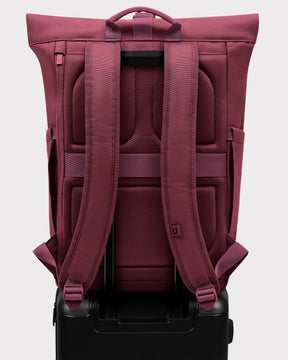 Rolltop Rugzak "Allen Medium"