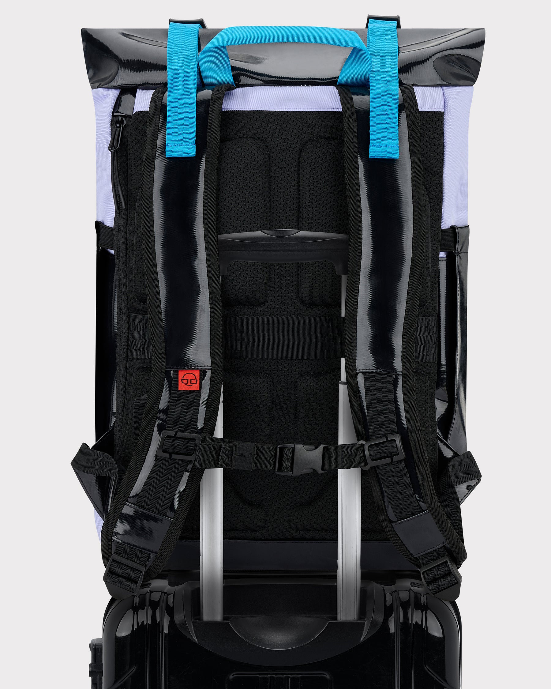 Rückseite des Rolltop-Rucksacks 'Ashton' in Schwarz und Flieder mit gepolsterten, schwarzen Schulterriemen mit blauen Tragegriffen, befestigt an einem schwarzen Koffer