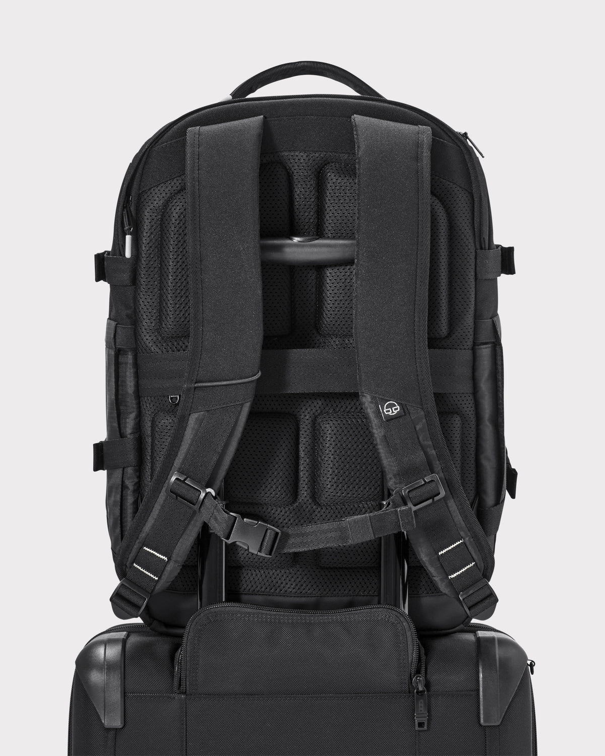 Rucksack 'Jack' von Johnny Urban in Schwarz, Rückseite mit gepolsterten Rücken- und Schultergurten