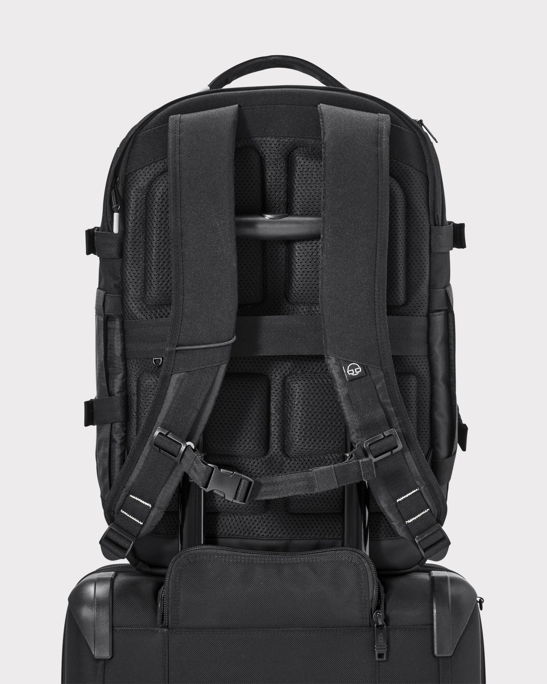 Rucksack 'Jack' von Johnny Urban in Schwarz, Rückseite mit gepolsterten Rücken- und Schultergurten